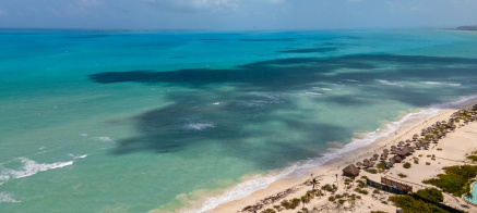 Atualização Visto Mexicano para Brasileiros - Novas regras anunciadas